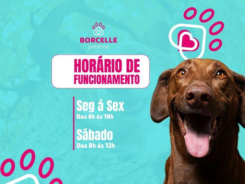 Agendar uma consulta